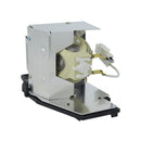 ViewSonic LTOHRLC066PPH Philips FP Lamps with Housing