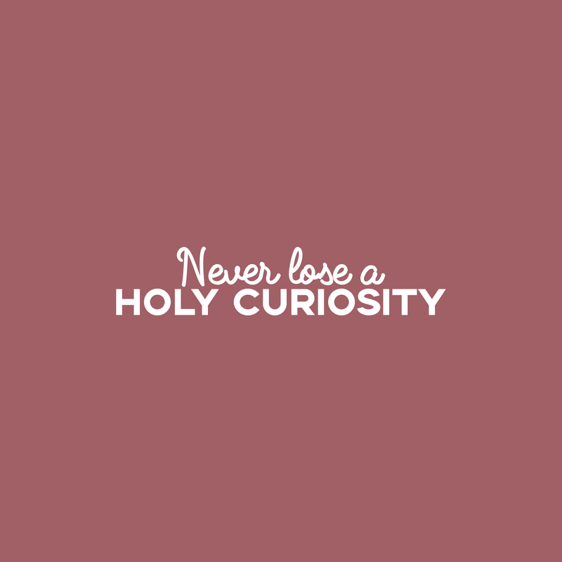 Vinyl Wall Art Decal - Never Lose A Holy Curiosity - 4.5" x 22" - Inspirational Sticker Albert Einstein Quote For Home Bedroom Living Room Coffee Shop Work Office Decor White 4.5" x 22" 5