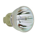 SmartBoard LTOBLightRaise40WIPPH Philips FP Lamps Bare