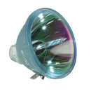 Epson LTGBELPLP23 Generic FP Lamps Bare