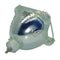 Philips LTOB928139005390PPH Philips TV Lamps Bare