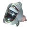 Neolux LTOB690690POS Osram TV Lamps Bare