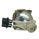 IIYAMA LTOBDPS100POS Osram FP Lamps Bare