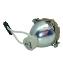 IIYAMA LTOBDPS100POS Osram FP Lamps Bare