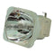 Optoma LTOBBLFP165APOS Osram FP Lamps Bare