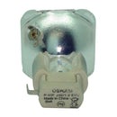 Sahara LTOBS3618POS Osram FP Lamps Bare