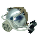 Sharp LTOBPGM17XPOS Osram FP Lamps Bare