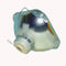 Osram LTOB691141POS Osram FP Lamps Bare