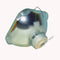 Osram LTOB691151POS Osram FP Lamps Bare