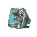 Osram LTOB698031POS Osram FP Lamps Bare