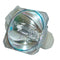 Optoma LTOBDE5811116320PPX Phoenix FP Lamps Bare