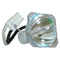 Optoma LTOBDE5811116320PPX Phoenix FP Lamps Bare