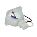 InFocus LTOBIN102PPX Phoenix FP Lamps Bare