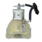 Mitsubishi LTOBVLTXL30LPPPX Phoenix FP Lamps Bare