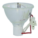 Triumph-Adler LTOBA110PPX Phoenix FP Lamps Bare