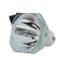 Phoenix LTOBSHP59PPX Phoenix FP Lamps Bare