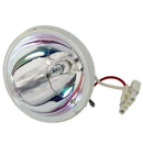 HP LTOBVP6325PPX Phoenix FP Lamps Bare