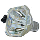 Avio LTOBMPLKD4KPPX Phoenix FP Lamps Bare