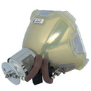 Phoenix LTOBSHP47PPX Phoenix FP Lamps Bare