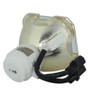 Phoenix LTOBSHP50PPX Phoenix FP Lamps Bare