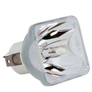 Toshiba LTOBTLPT61PPX Phoenix FP Lamps Bare