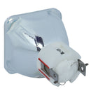 Toshiba LTOBTLPS61PPX Phoenix FP Lamps Bare