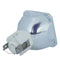 Phoenix LTOBSHP52PPX Phoenix FP Lamps Bare