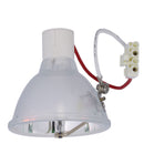 Infocus LTOBSPLAMP025PPX Phoenix FP Lamps Bare