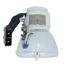 Toshiba LTOBTDPT99PPX Phoenix FP Lamps Bare