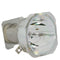 Phoenix LTOBSHP93PPX Phoenix FP Lamps Bare