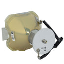 Sharp LTOBDT5000PPX Phoenix FP Lamps Bare
