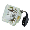 Toshiba LTOBTLPXD2000PPX Phoenix FP Lamps Bare