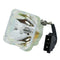 Phoenix LTOBSHP99PPX Phoenix FP Lamps Bare