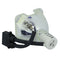 Phoenix LTOBSHP99PPX Phoenix FP Lamps Bare