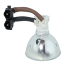 Phoenix LTOBSHP101PPX Phoenix FP Lamps Bare