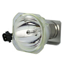 Phoenix LTOBSHP103PPX Phoenix FP Lamps Bare