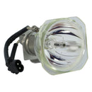 Phoenix LTOBSHP103PPX Phoenix FP Lamps Bare