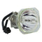 Phoenix LTOBSHP103PPX Phoenix FP Lamps Bare