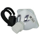 Sharp LTOBANK30LP1PPX Phoenix FP Lamps Bare