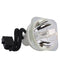 Phoenix LTOBSHP172PPX Phoenix FP Lamps Bare