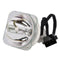 Phoenix LTOBSHP184PPX Phoenix FP Lamps Bare