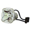 Phoenix LTOBSHP57PPX Phoenix FP Lamps Bare