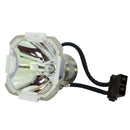 Runco LTOBVX5000dPPX Phoenix FP Lamps Bare