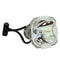 Phoenix LTOBSHP57PPX Phoenix FP Lamps Bare