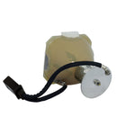 Runco LTOBVX1000CiPPX Phoenix FP Lamps Bare