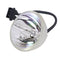 HP LTOBEP9012PPX Phoenix FP Lamps Bare