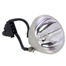 HP LTOBEP7110PPX Phoenix FP Lamps Bare