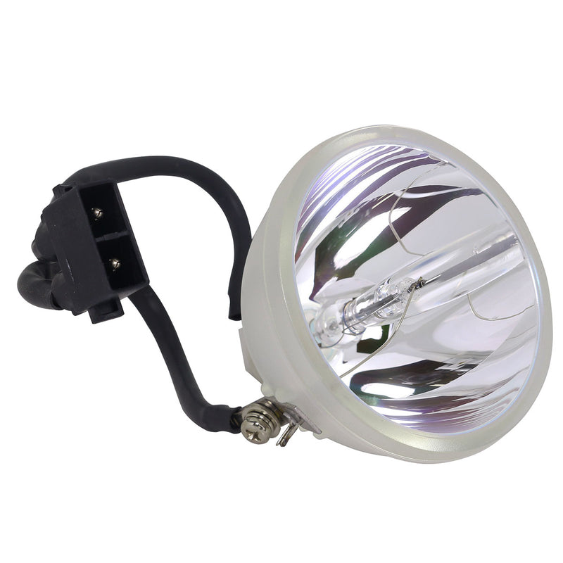 HP LTOBEP7122PPX Phoenix FP Lamps Bare