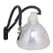 HP LTOBEP9012PPX Phoenix FP Lamps Bare