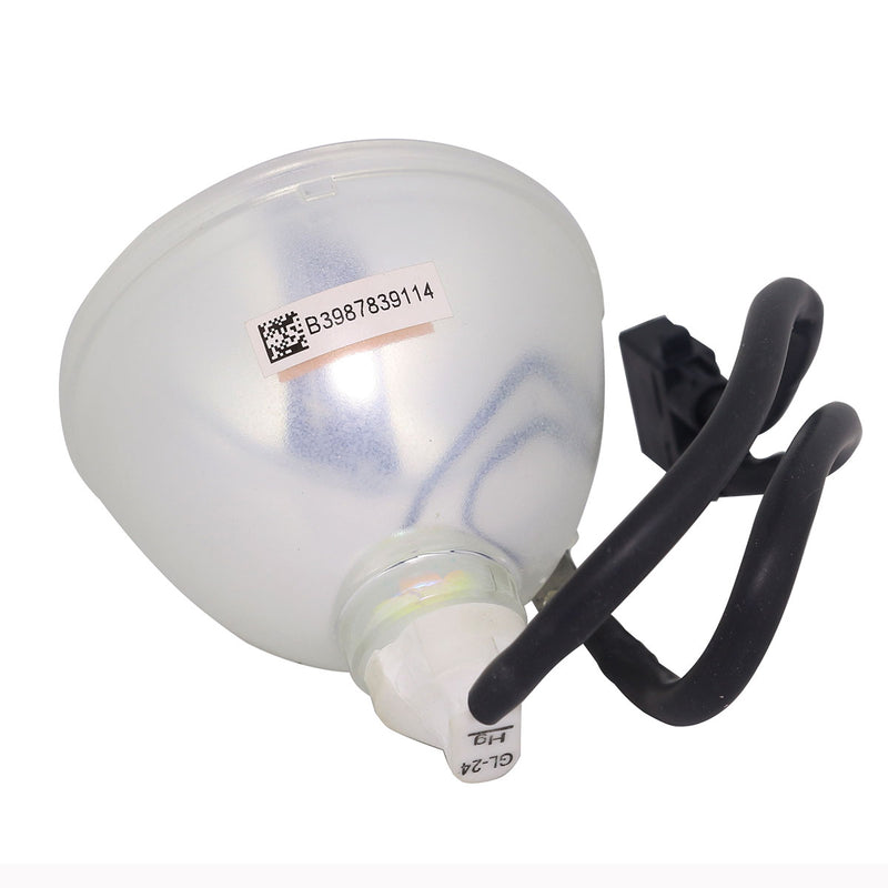 HP LTOBEP9012PPX Phoenix FP Lamps Bare